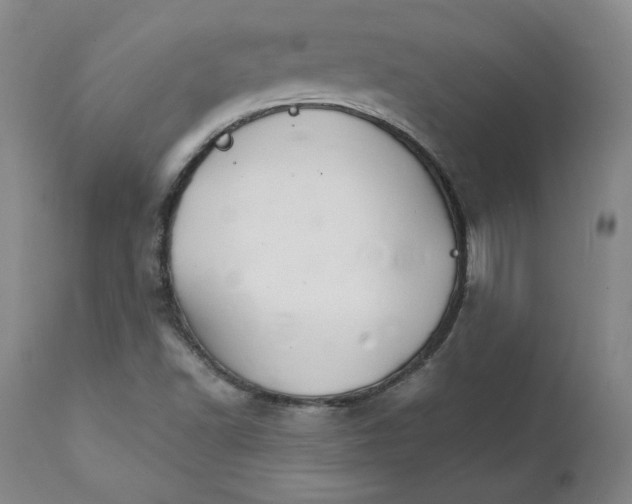 X0000111231502200907231452