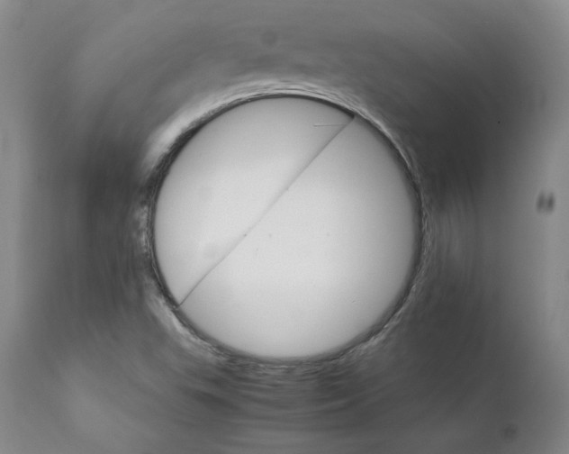 X0000111231503200907231452