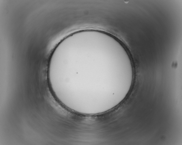 X0000111231504200907231452