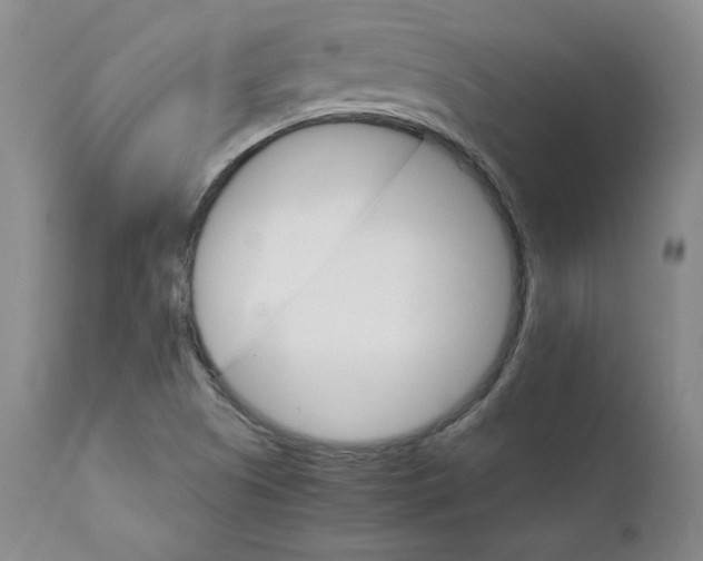 X0000111231505200907231452