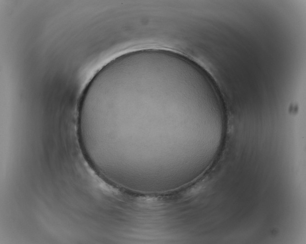 X0000111231508200907231452