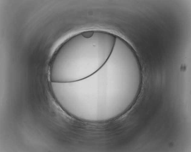 X0000111231510200907231452
