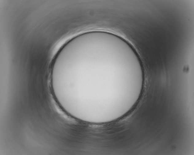 X0000111231511200907231452