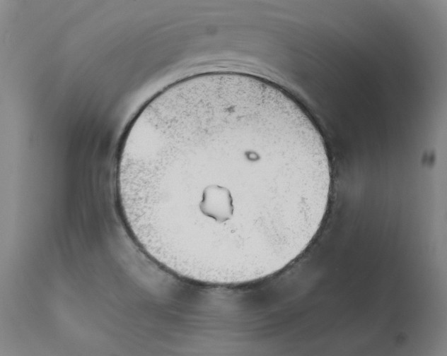 X0000111231514200907231452