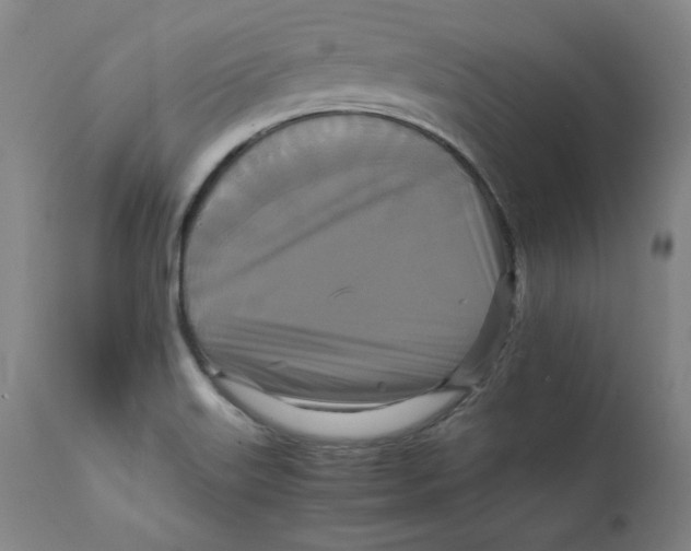 X0000111231515200907231452