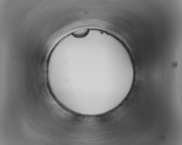 X0000111231516200907231452
