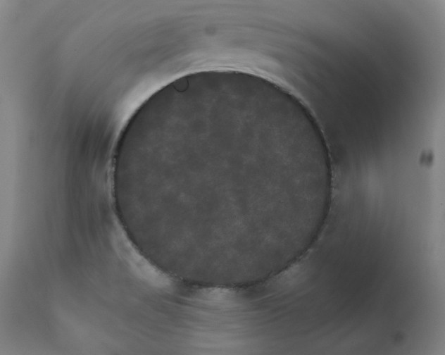 X0000111231517200907231452