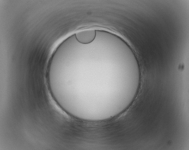 X0000111231518200907231452