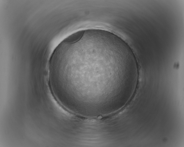 X0000111231520200907231452