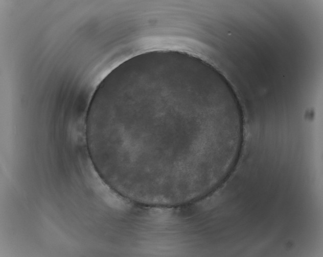 X0000111231521200907231452