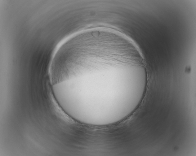 X0000111231522200907231452