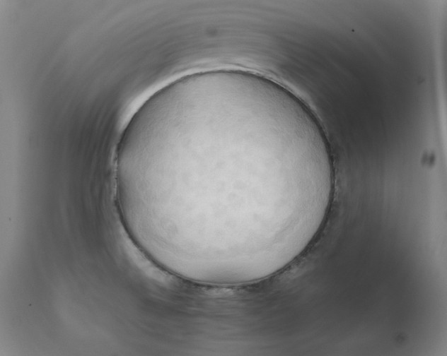 X0000111231524200907231452