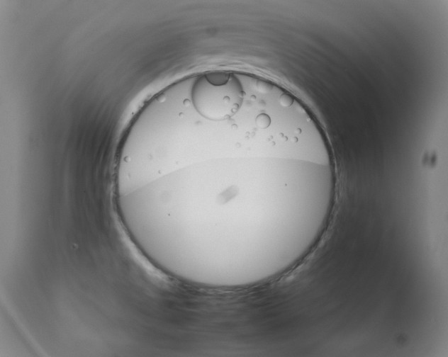 X0000111231525200907231452