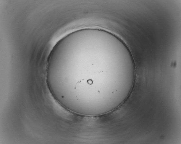 X0000111231526200907231452