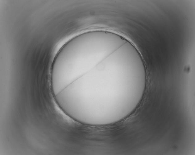 X0000111231527200907231452