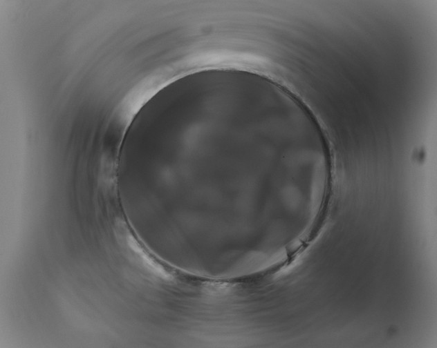 X0000111231529200907231452
