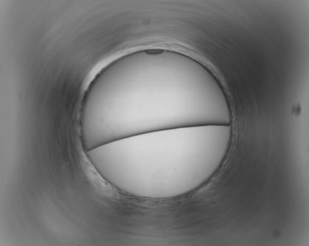 X0000111231530200907231452