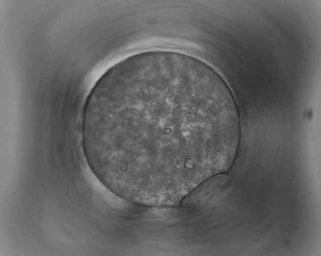 X0000111231531200907231452