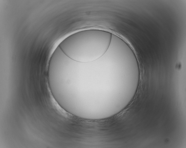 X0000111231532200907231452