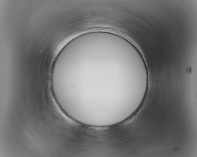X0000111231533200907231452