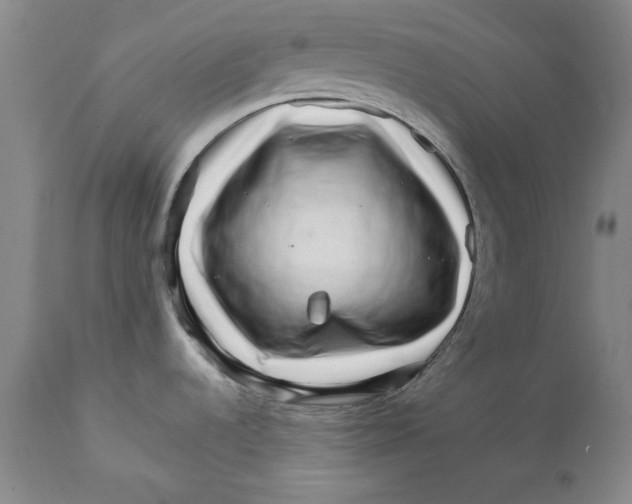 X0000111231536200907231452