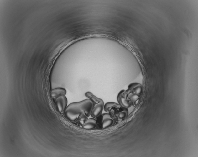 X0000111230001200907301255