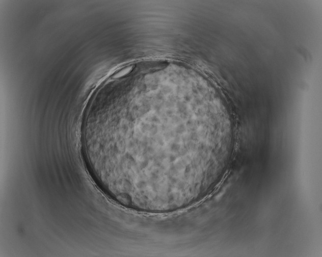 X0000111230002200907301255