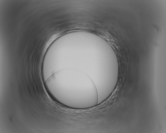X0000111230003200907301255