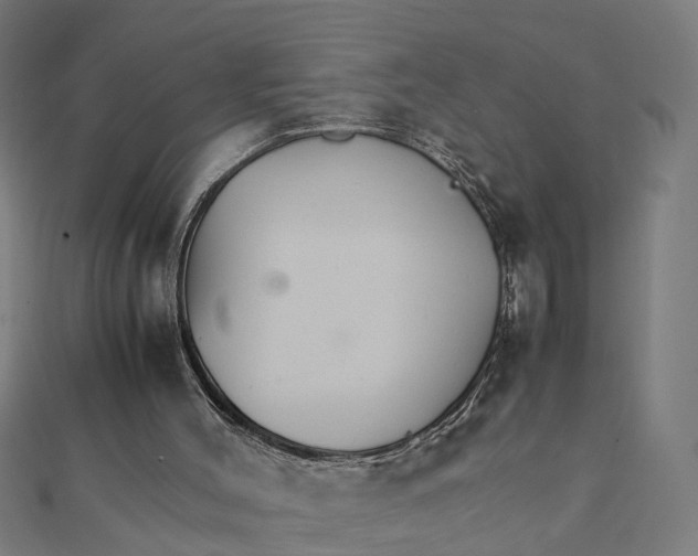 X0000111230004200907301255