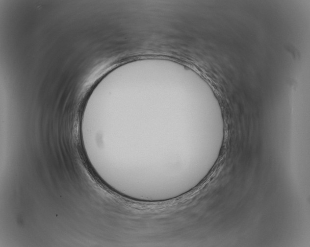 X0000111230005200907301255