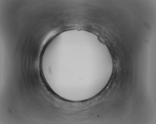 X0000111230006200907301255