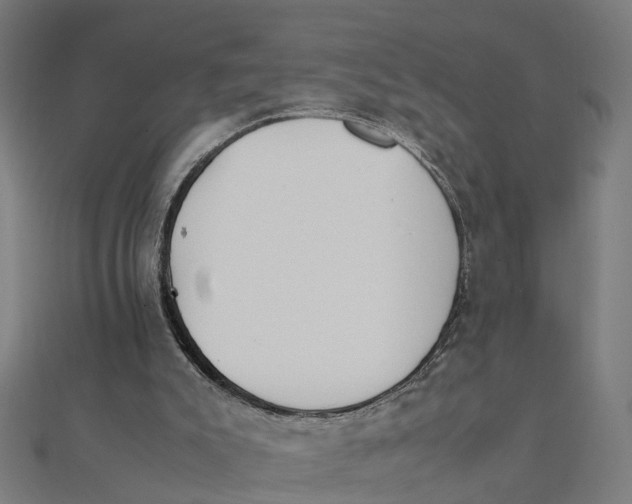 X0000111230007200907301255