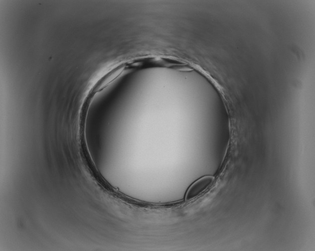 X0000111230008200907301255