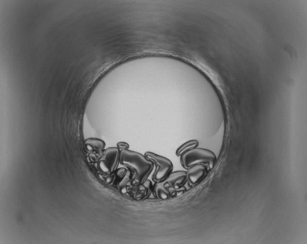 X0000111230009200907301255