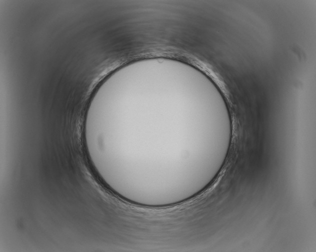 X0000111230010200907301255
