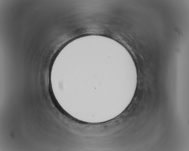 X0000111230011200907301255