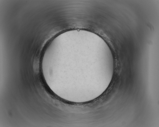 X0000111230012200907301255