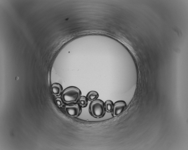 X0000111230013200907301255