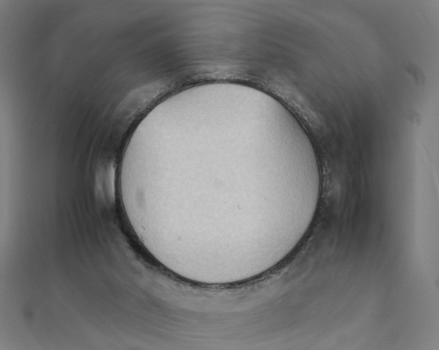 X0000111230014200907301255