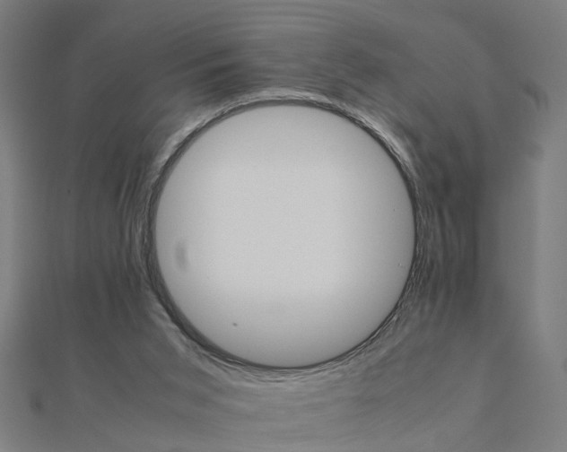 X0000111230015200907301255