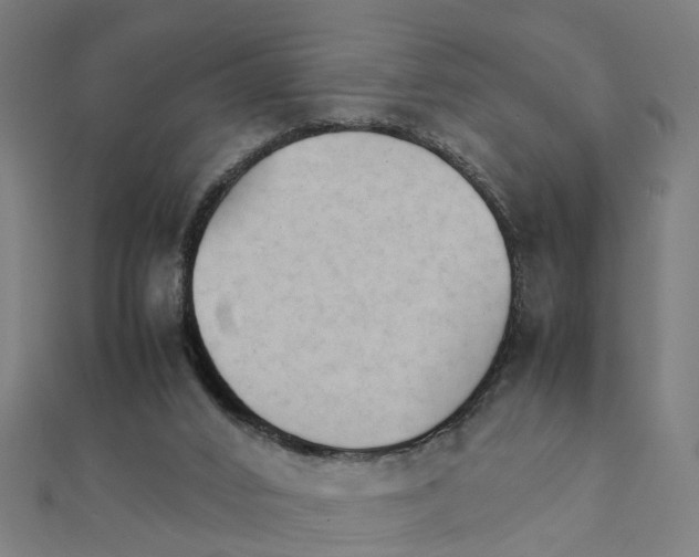 X0000111230016200907301255
