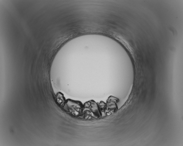 X0000111230017200907301255