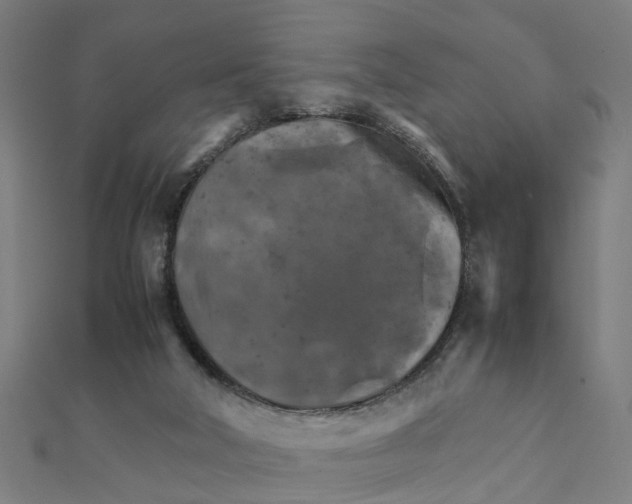 X0000111230018200907301255