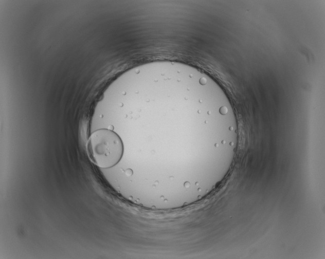 X0000111230022200907301255