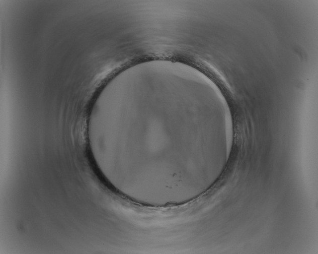 X0000111230023200907301255