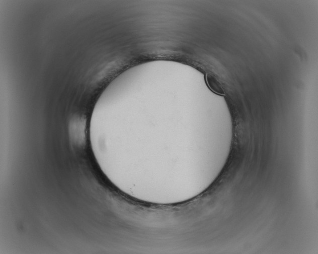 X0000111230024200907301255