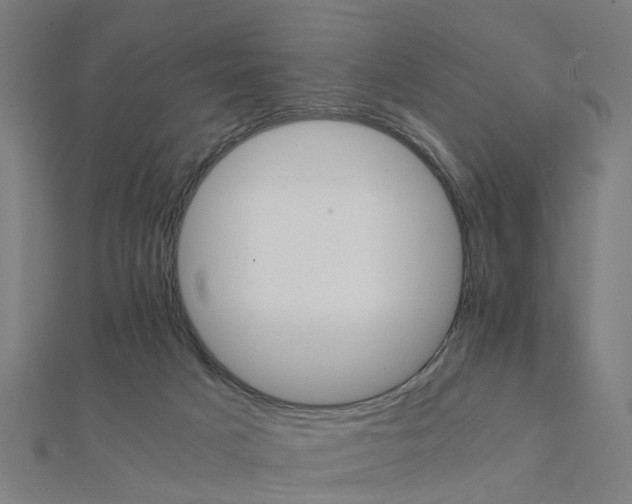 X0000111230025200907301255