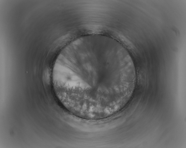 X0000111230026200907301255