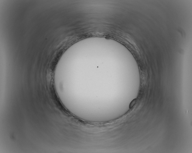 X0000111230029200907301255