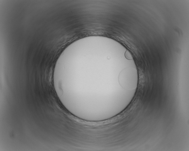 X0000111230030200907301255